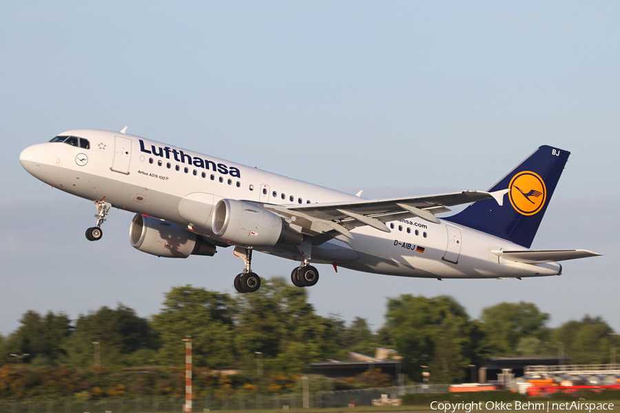 Lufthansa Airbus A319-112 (D-AIBJ) | Photo 42331