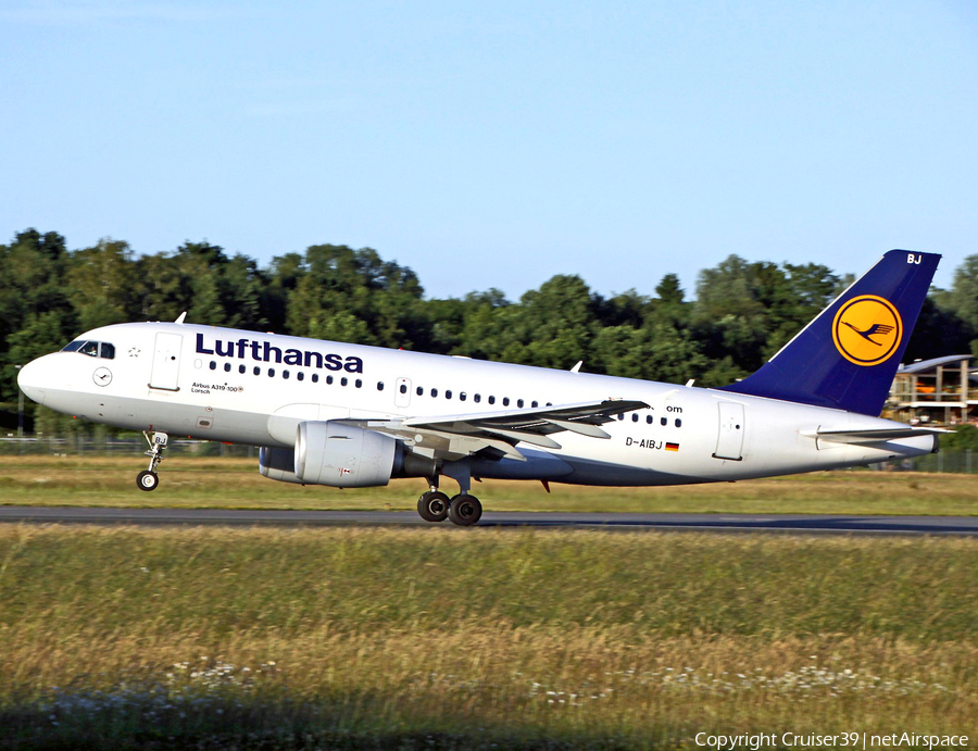 Lufthansa Airbus A319-112 (D-AIBJ) | Photo 231293