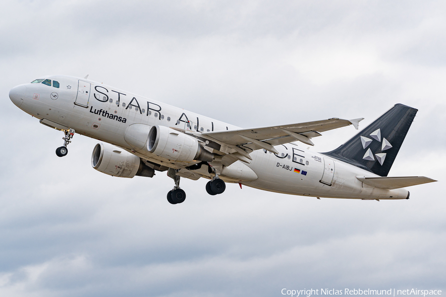 Lufthansa Airbus A319-112 (D-AIBJ) | Photo 435415