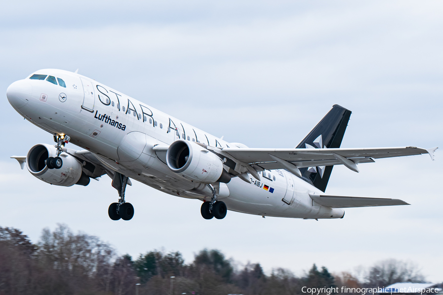 Lufthansa Airbus A319-112 (D-AIBJ) | Photo 435453