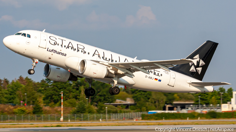 Lufthansa Airbus A319-112 (D-AIBJ) | Photo 522546