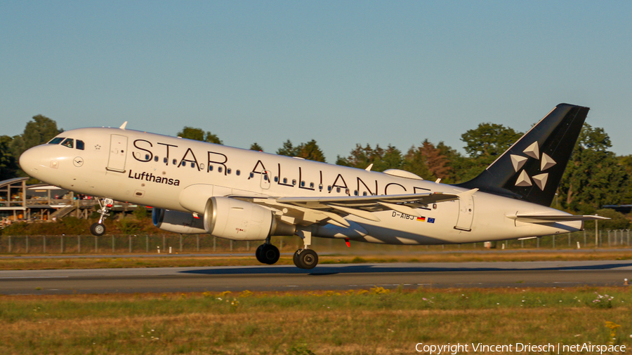 Lufthansa Airbus A319-112 (D-AIBJ) | Photo 524102