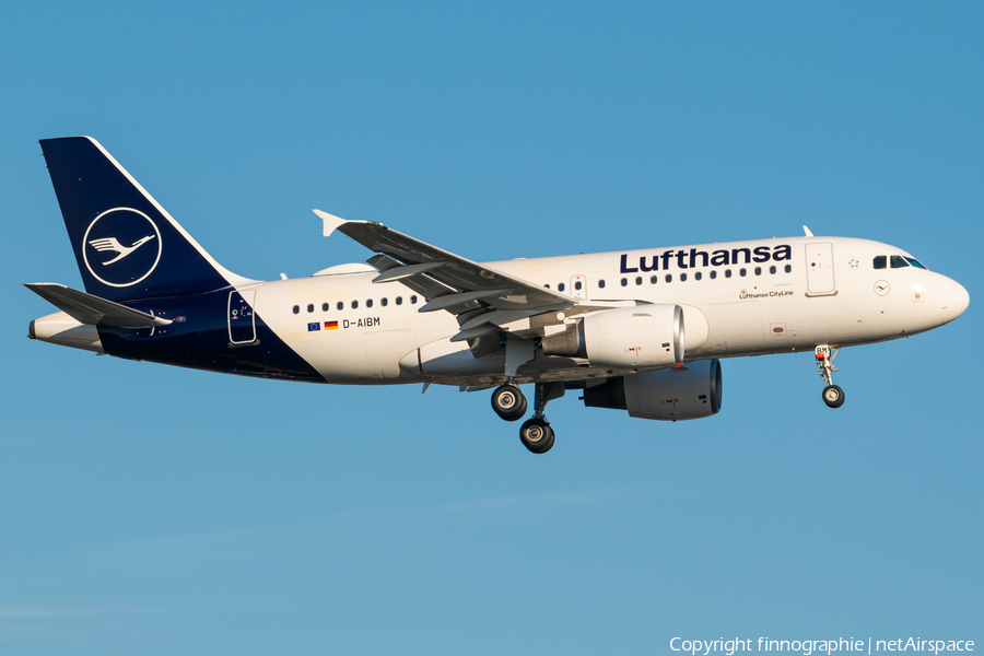 Lufthansa (CityLine) Airbus A319-112 (D-AIBM) | Photo 501884