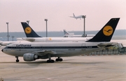 Lufthansa Airbus A310-203(F) (D-AICB) at  Frankfurt am Main, Germany