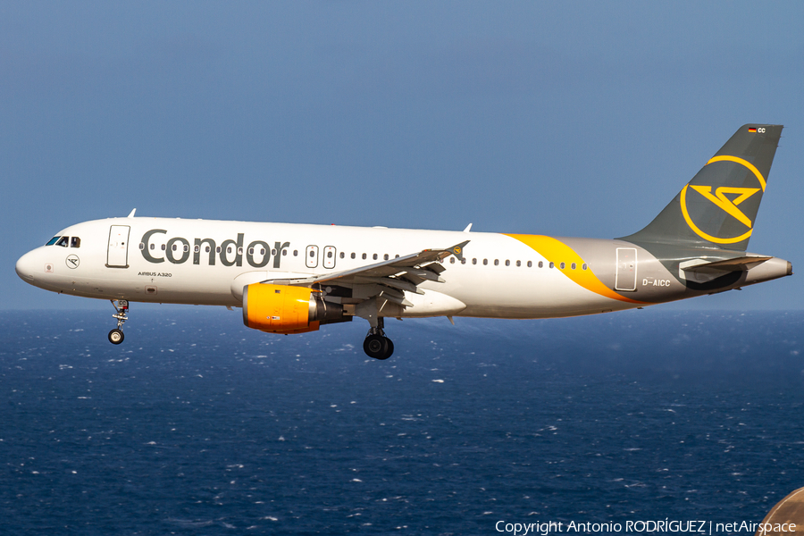 Condor Airbus A320-212 (D-AICC) | Photo 398951