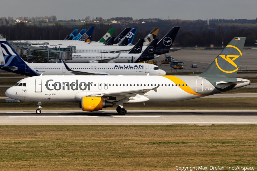 Condor Airbus A320-212 (D-AICE) | Photo 560170