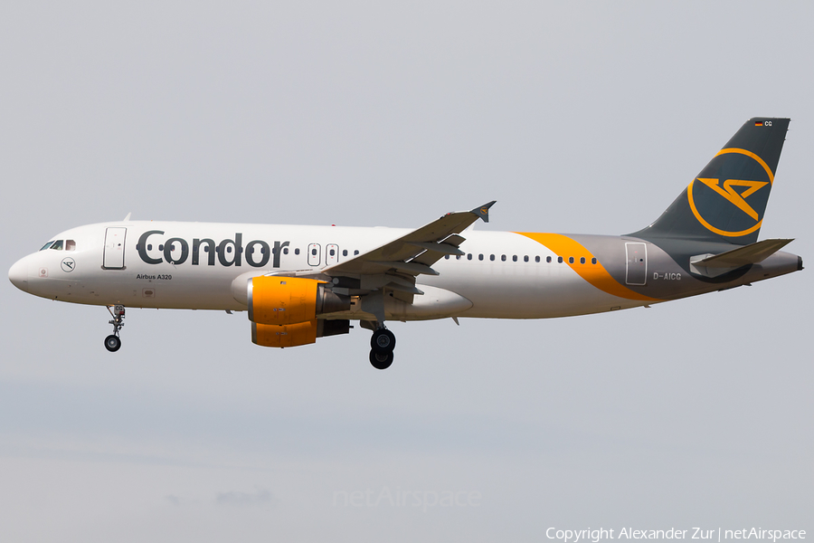 Condor Airbus A320-212 (D-AICG) | Photo 517185