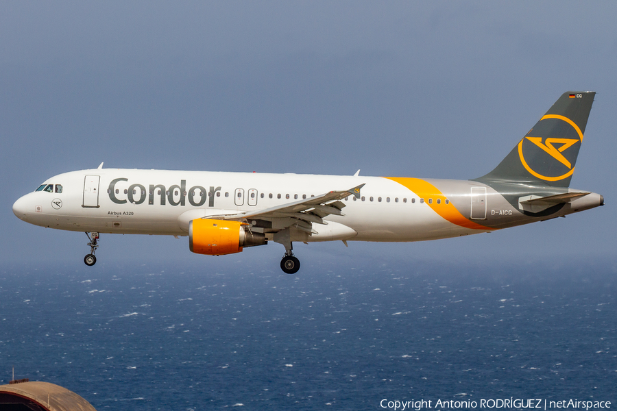 Condor Airbus A320-212 (D-AICG) | Photo 393330