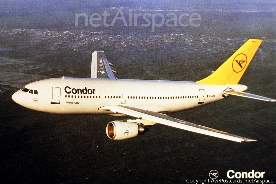 Condor Airbus A310-203 (D-AICP) | Photo 68228