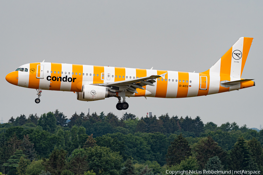 Condor Airbus A320-214 (D-AICU) | Photo 519492