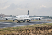 Lufthansa Airbus A340-313X (D-AIFA) at  Frankfurt am Main, Germany