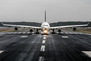 Lufthansa Airbus A340-313X (D-AIFA) at  Frankfurt am Main, Germany