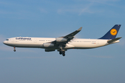 Lufthansa Airbus A340-313X (D-AIFA) at  Frankfurt am Main, Germany