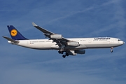 Lufthansa Airbus A340-313X (D-AIFA) at  Frankfurt am Main, Germany