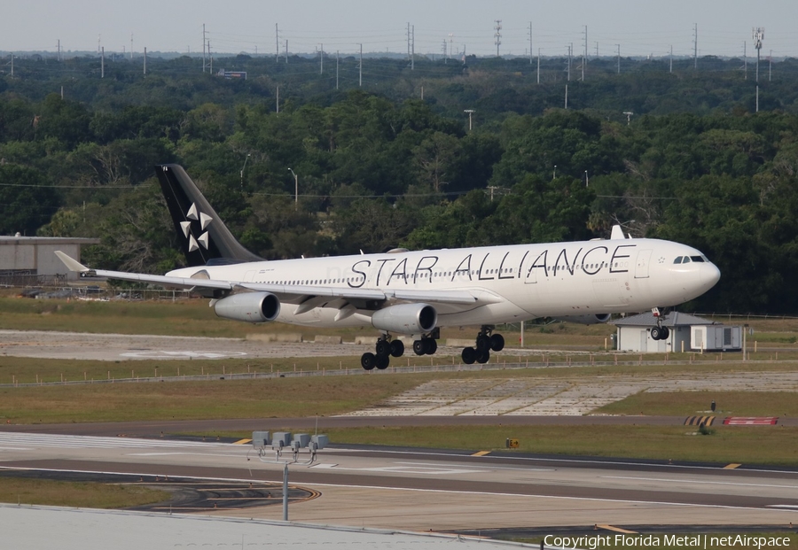 Lufthansa Airbus A340-313X (D-AIFA) | Photo 543028