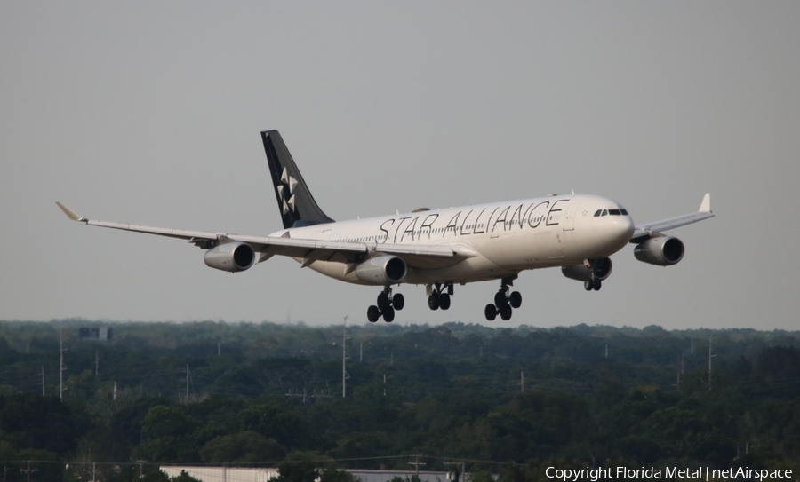 Lufthansa Airbus A340-313X (D-AIFA) | Photo 574888