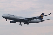 Lufthansa Airbus A340-313X (D-AIFB) at  Frankfurt am Main, Germany