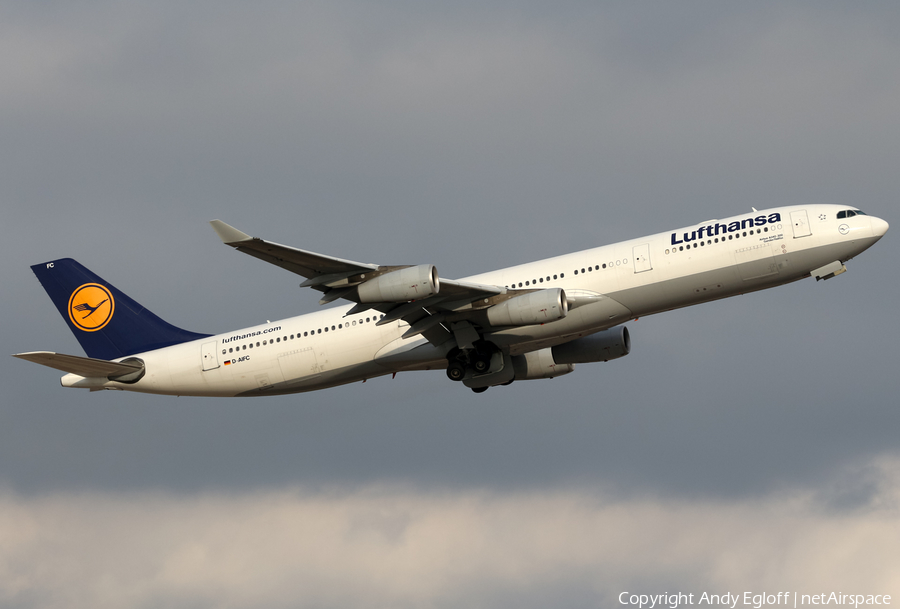 Lufthansa Airbus A340-313X (D-AIFC) | Photo 374714