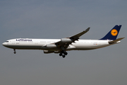 Lufthansa Airbus A340-313X (D-AIFC) at  Frankfurt am Main, Germany