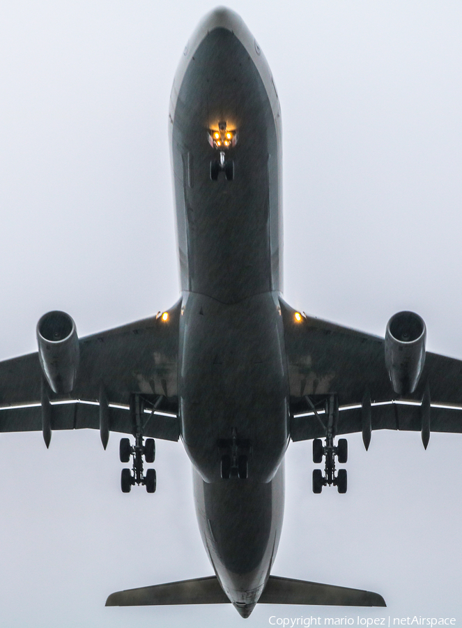 Lufthansa Airbus A340-313X (D-AIFC) | Photo 213685