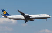 Lufthansa Airbus A340-313X (D-AIFC) at  Frankfurt am Main, Germany