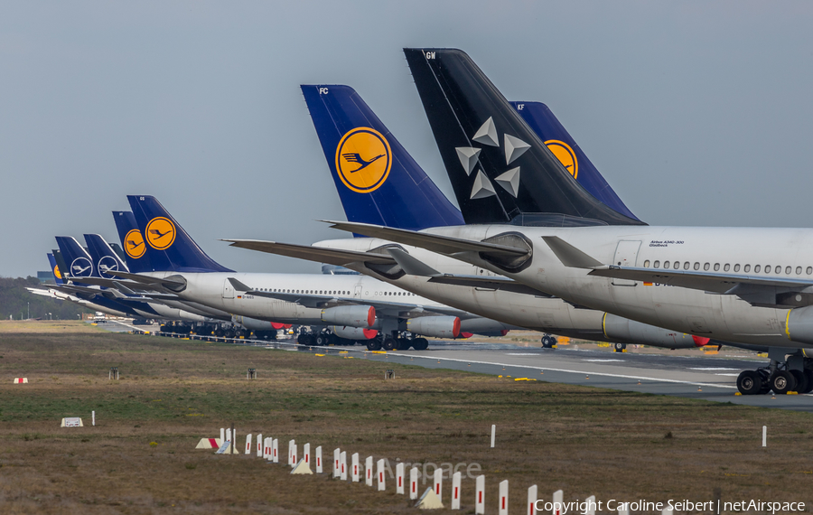Lufthansa Airbus A340-313X (D-AIFC) | Photo 381675