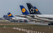 Lufthansa Airbus A340-313X (D-AIFC) at  Frankfurt am Main, Germany