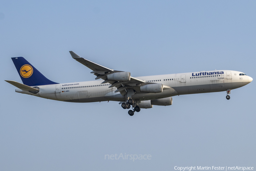Lufthansa Airbus A340-313X (D-AIFC) | Photo 467887