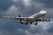 Lufthansa Airbus A340-313X (D-AIFC) at  Frankfurt am Main, Germany