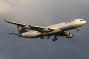 Lufthansa Airbus A340-313X (D-AIFC) at  Frankfurt am Main, Germany