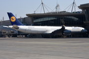 Lufthansa Airbus A340-313X (D-AIFC) at  Johannesburg - O.R.Tambo International, South Africa