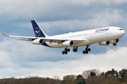 Lufthansa Airbus A340-313X (D-AIFD) at  Hamburg - Fuhlsbuettel (Helmut Schmidt), Germany