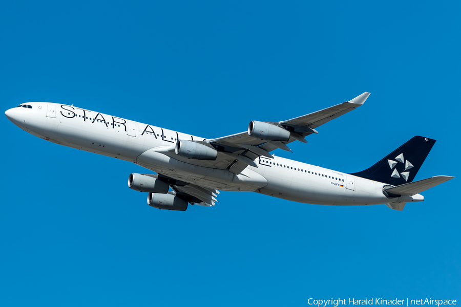 Lufthansa Airbus A340-313X (D-AIFE) | Photo 290880