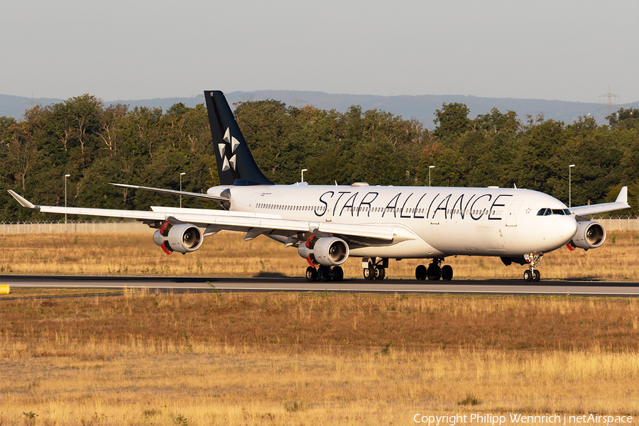 Lufthansa Airbus A340-313X (D-AIFE) | Photo 352592