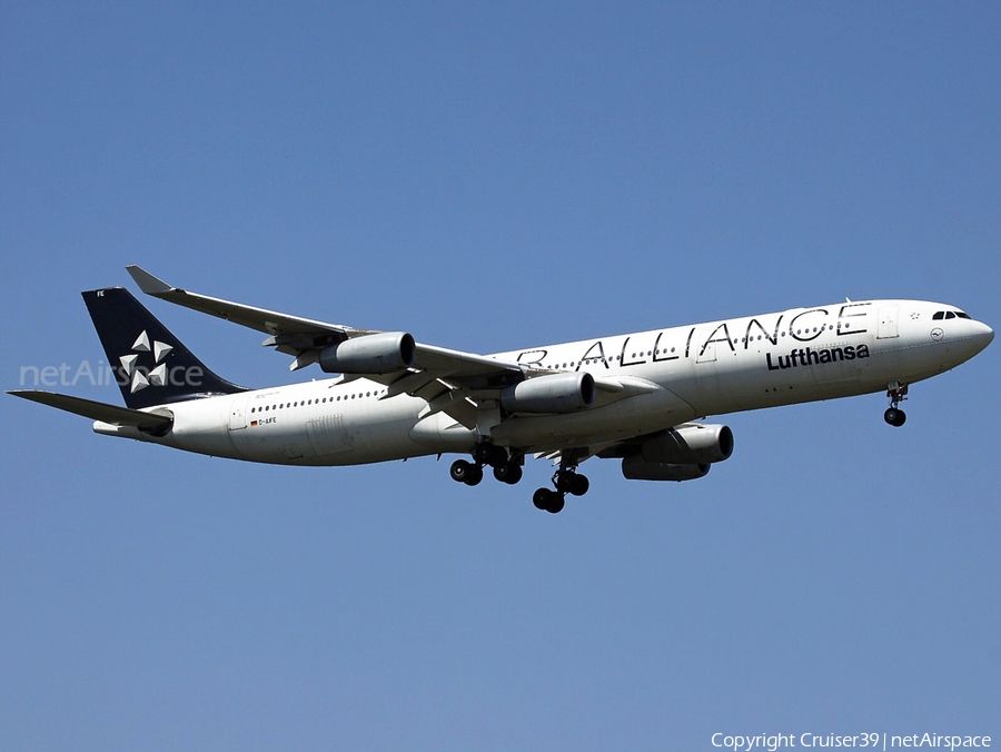 Lufthansa Airbus A340-313X (D-AIFE) | Photo 479127