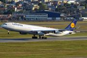 Lufthansa Airbus A340-313X (D-AIFE) at  Sao Paulo - Guarulhos - Andre Franco Montoro (Cumbica), Brazil