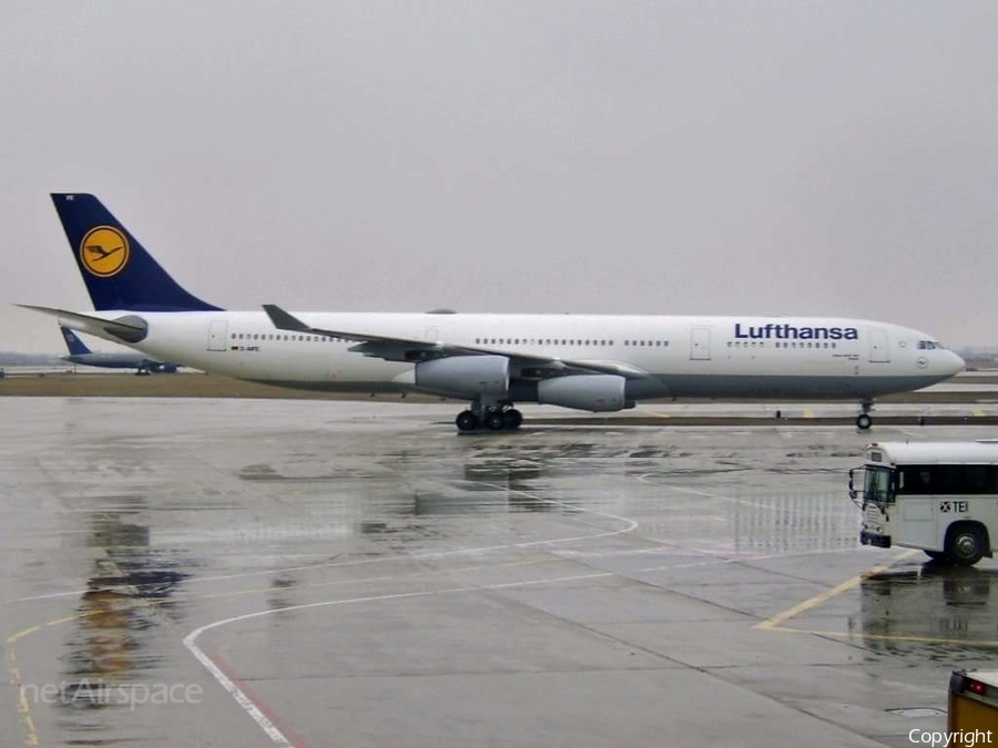 Lufthansa Airbus A340-313X (D-AIFE) | Photo 76930
