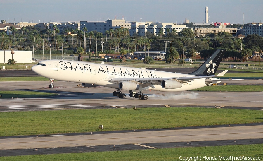 Lufthansa Airbus A340-313X (D-AIFE) | Photo 299828
