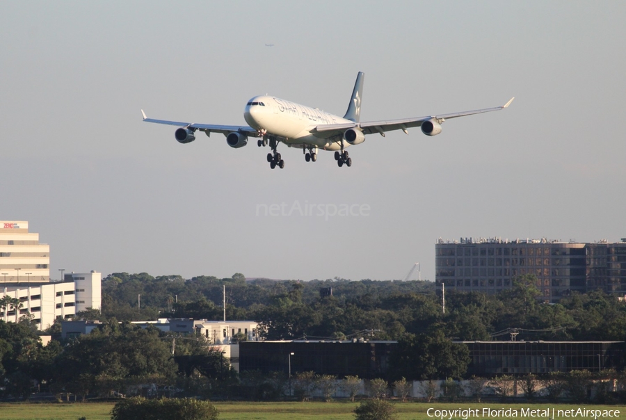 Lufthansa Airbus A340-313X (D-AIFE) | Photo 574890