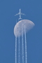 Lufthansa Airbus A340-313X (D-AIFF) at  Barcelona - El Prat, Spain