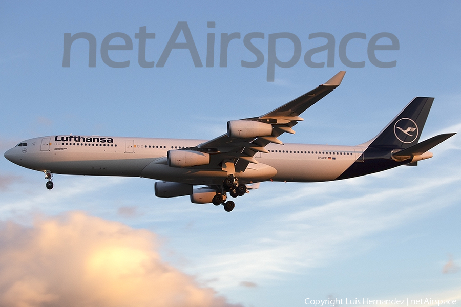 Lufthansa Airbus A340-313X (D-AIFF) | Photo 452086