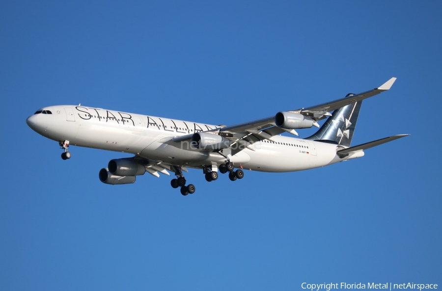 Lufthansa Airbus A340-313X (D-AIFF) | Photo 574891