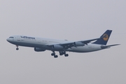 Lufthansa Airbus A340-311 (D-AIGA) at  Frankfurt am Main, Germany