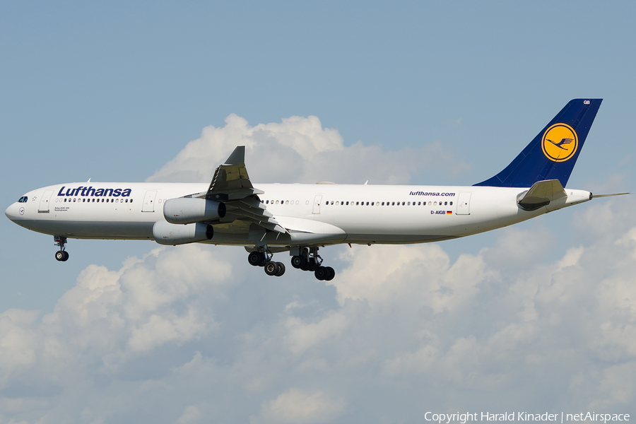 Lufthansa Airbus A340-311 (D-AIGB) | Photo 293325