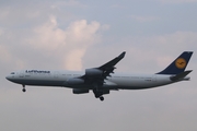 Lufthansa Airbus A340-311 (D-AIGB) at  Frankfurt am Main, Germany