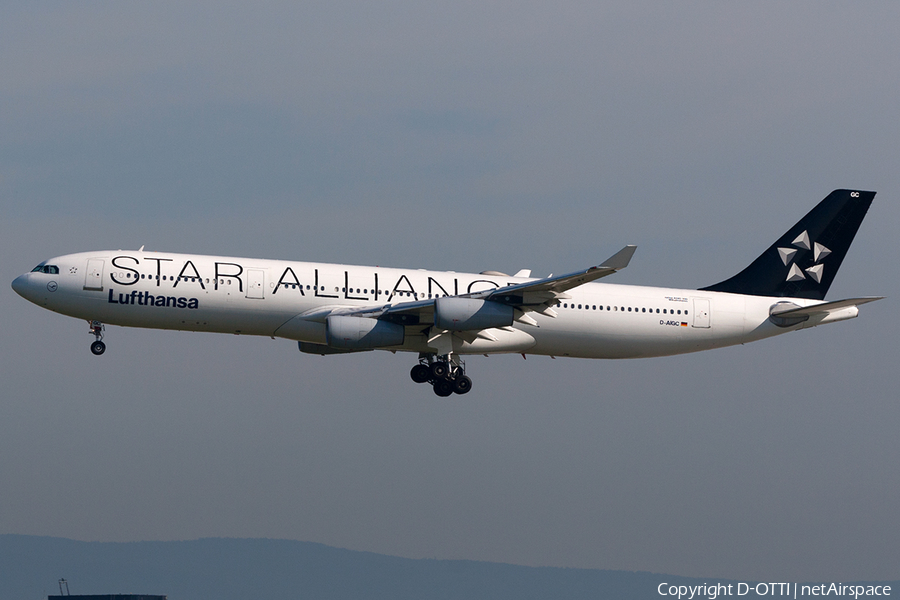 Lufthansa Airbus A340-311 (D-AIGC) | Photo 201906