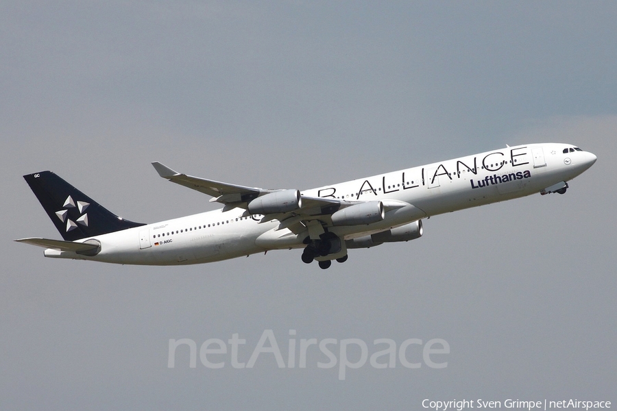 Lufthansa Airbus A340-311 (D-AIGC) | Photo 27672