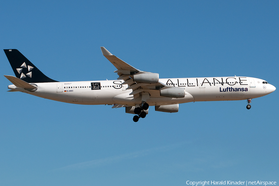 Lufthansa Airbus A340-311 (D-AIGC) | Photo 302288