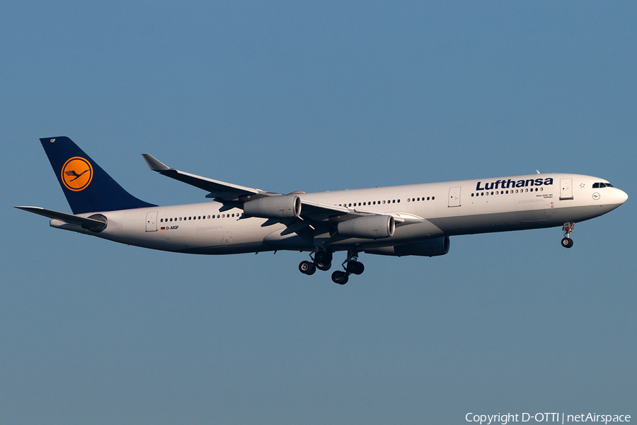 Lufthansa Airbus A340-311 (D-AIGF) | Photo 197503