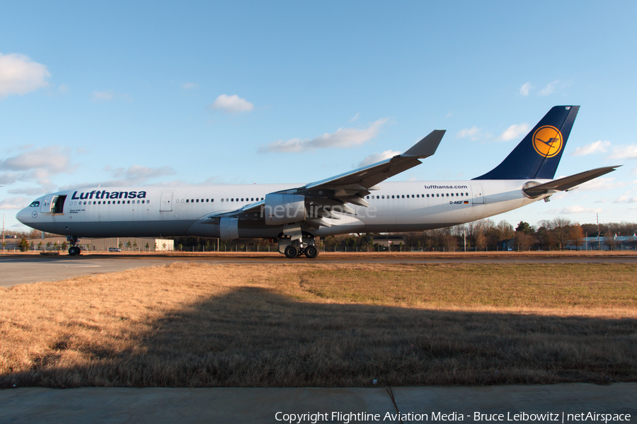 Lufthansa Airbus A340-311 (D-AIGF) | Photo 81180